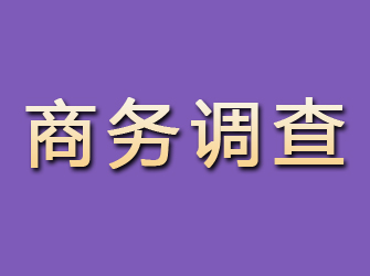 北流商务调查